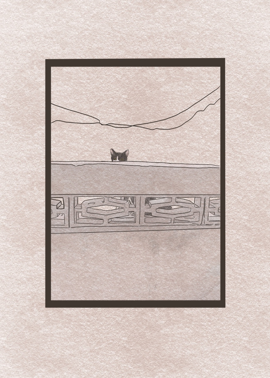 Postcard | hide and seek