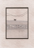 Postcard | hide and seek