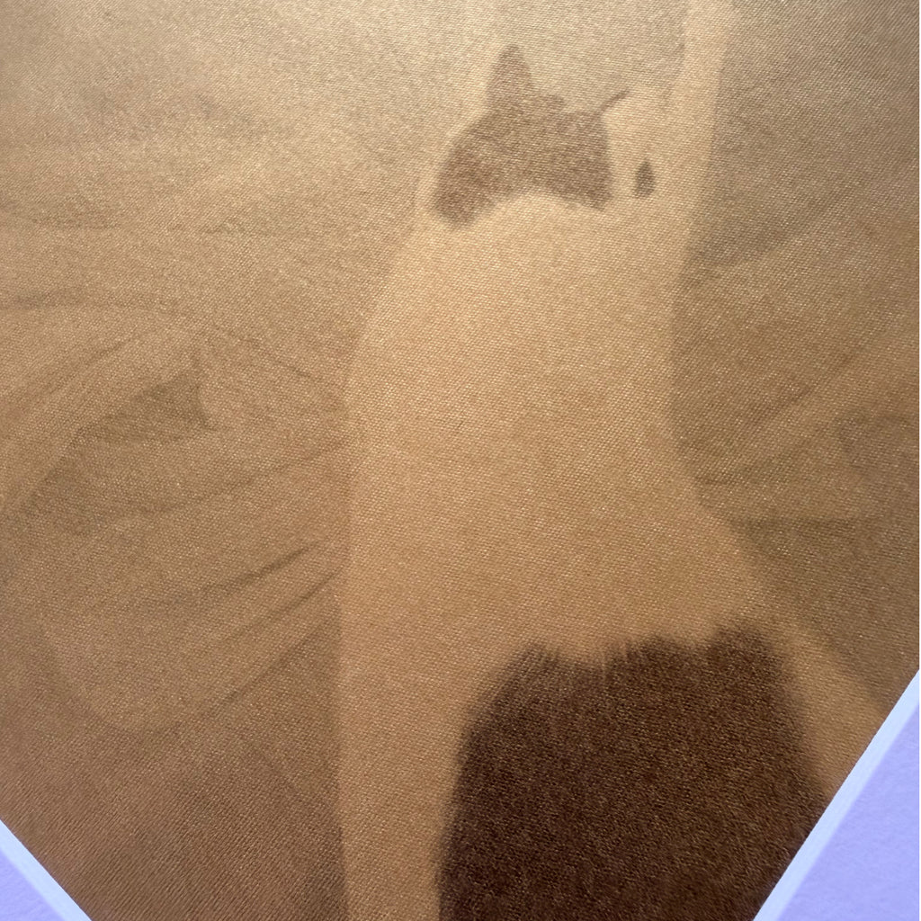 Prints | M070 | Catching !