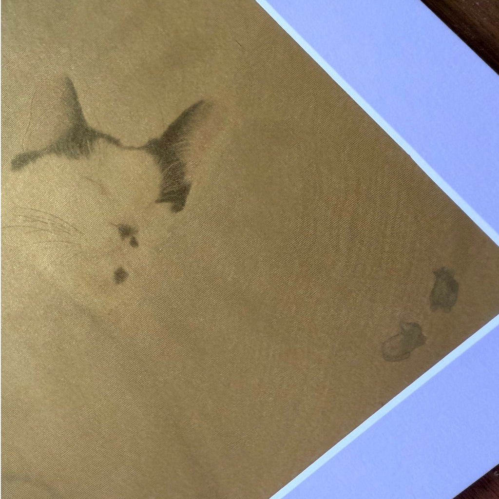 Prints | M063 | Sweet Dreams | In Two Formats