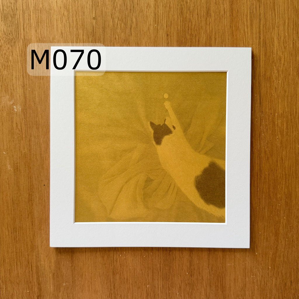 Prints | M070 | Catching !
