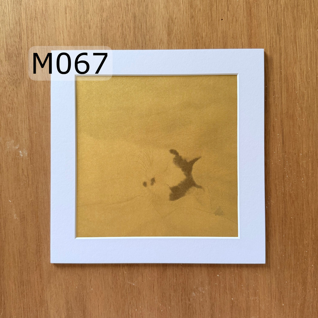 Prints | M067 | Sleep tight !