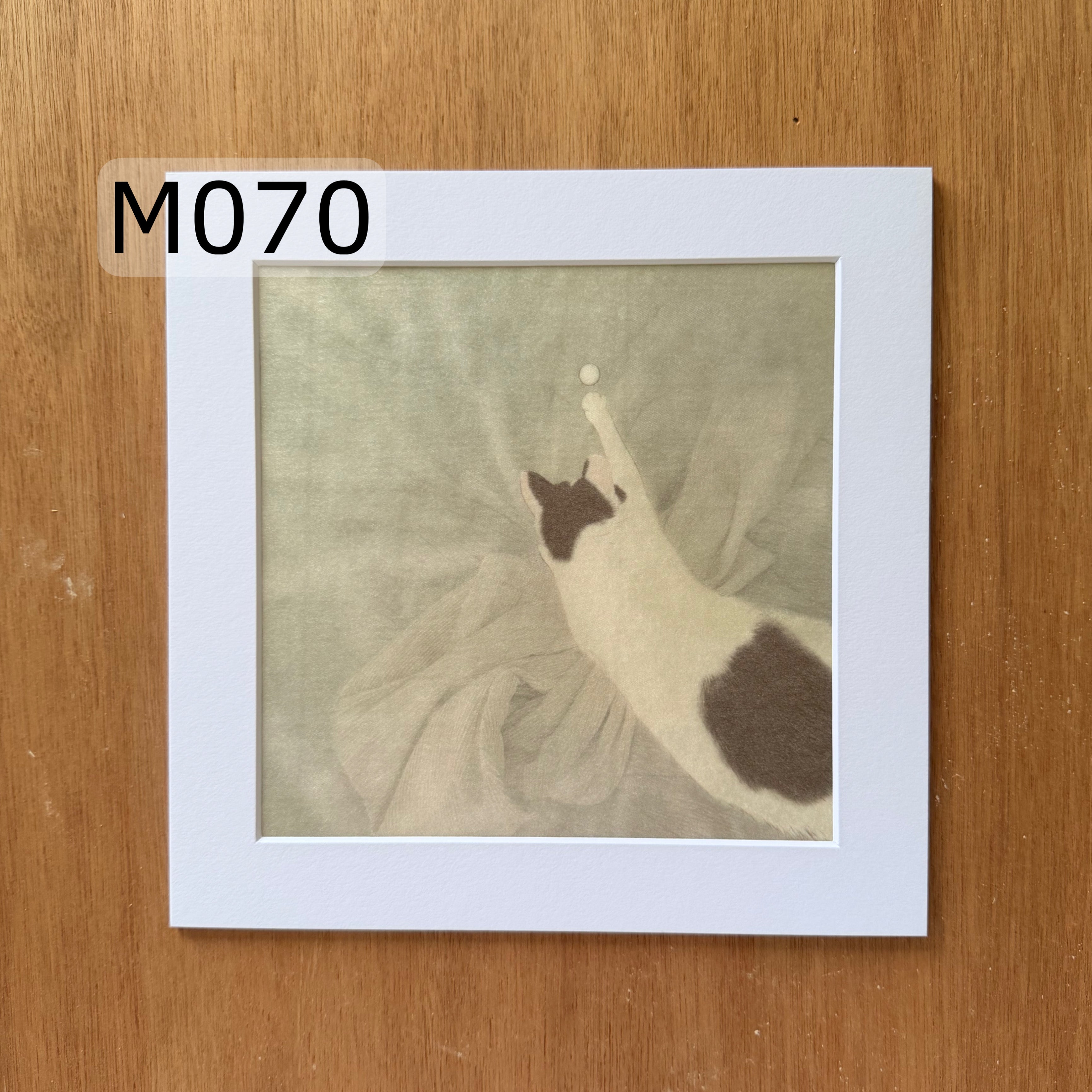 Prints | M070 | Catching !