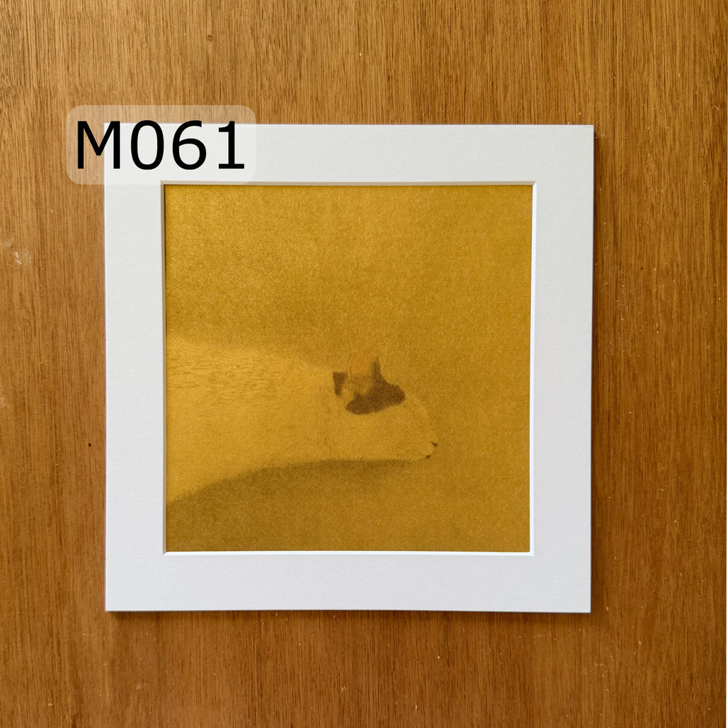 Prints | M061 | Napping Time