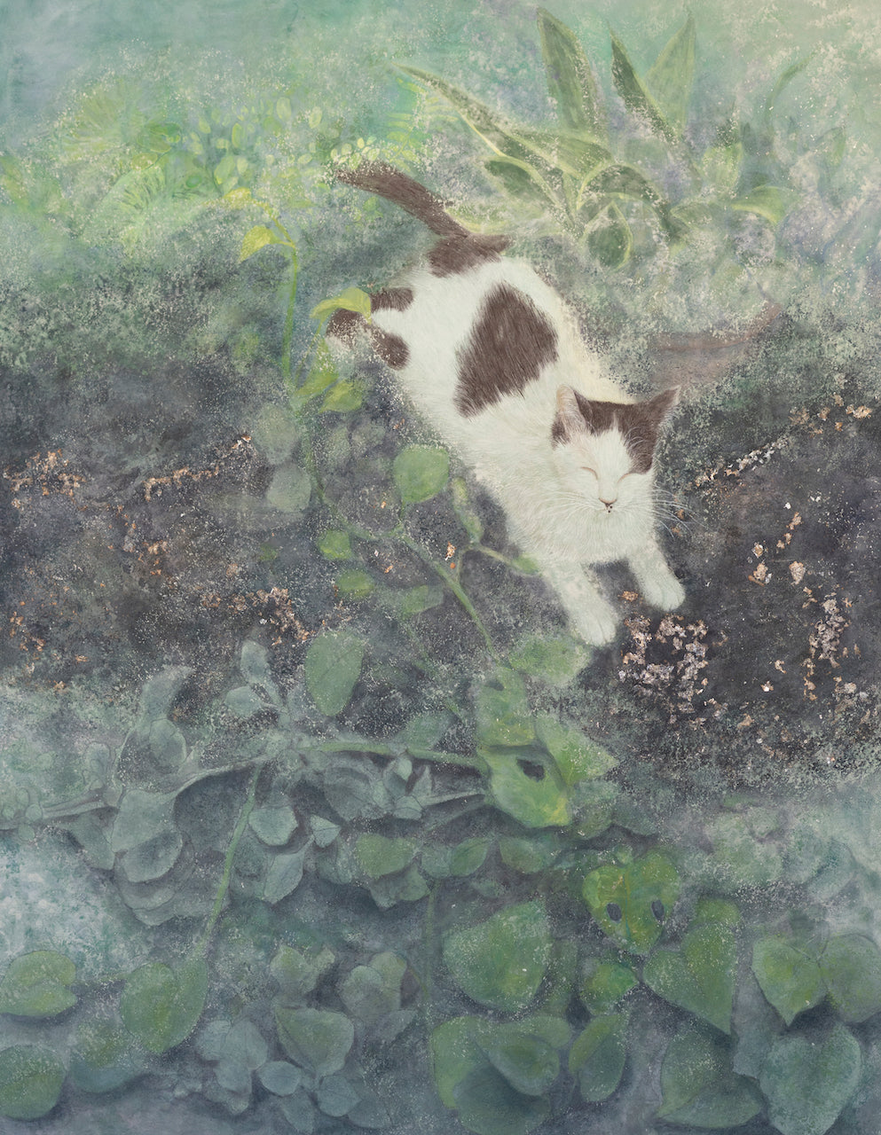 Postcard | afternoon