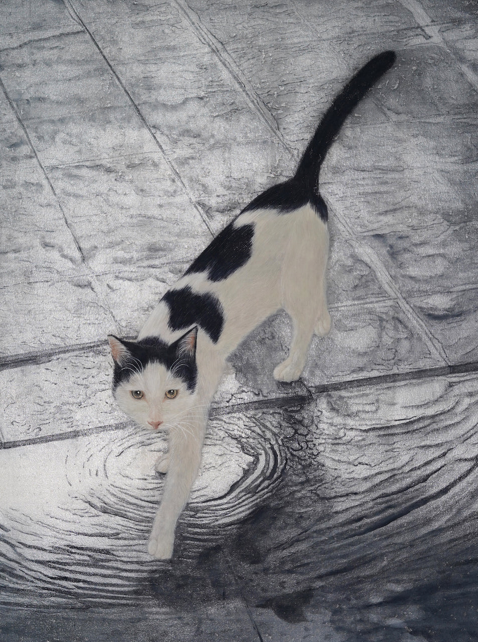 Postcard | summer rain