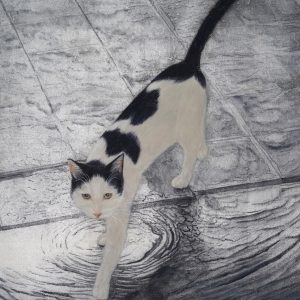 Summer Rain