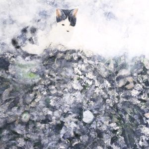 Mirage 貓咪｜13張｜明信片套組：圖片 13