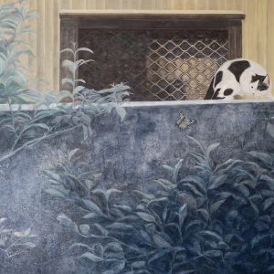 The butterfly tours a playing cat